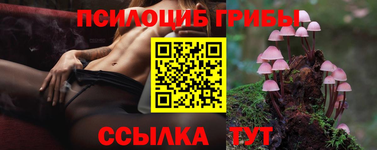 Солнечногорск  Галлюциногенные грибы Cubensis  Вход с VPN 